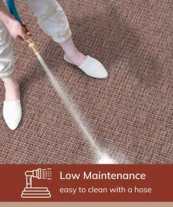 Well Woven Odin Solid & Striped Border Indoor Outdoor Coral Flatweave Rug