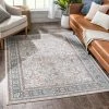 Well Woven Salida Vintage Oriental Botanical Border Beige Rust Rug Global