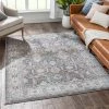 Well Woven Global Salida Vintage Oriental Botanical Border Grey Rug