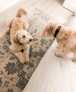 Well Woven Mariah Beige Vintage Oriental Medallion Rug 15 Well Woven Mariah Beige Vintage Oriental Medallion Rug