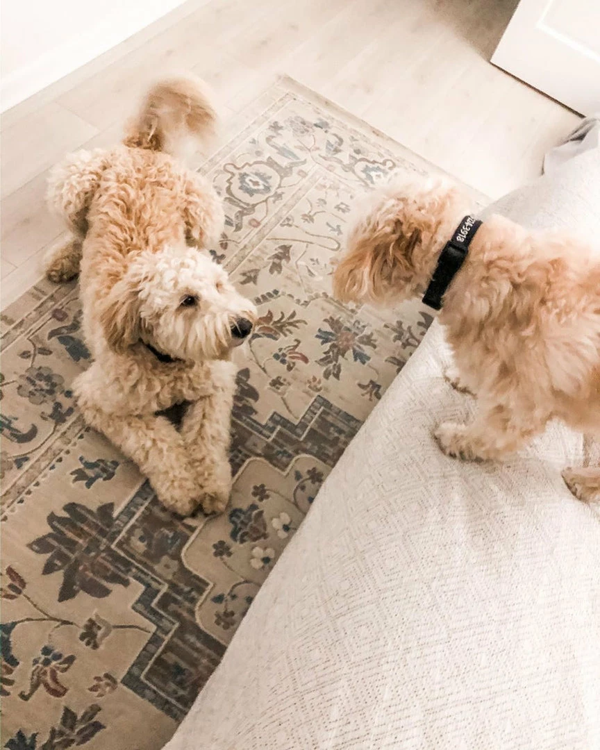 Well Woven Mariah Beige Vintage Oriental Medallion Rug 7 Well Woven Mariah Beige Vintage Oriental Medallion Rug